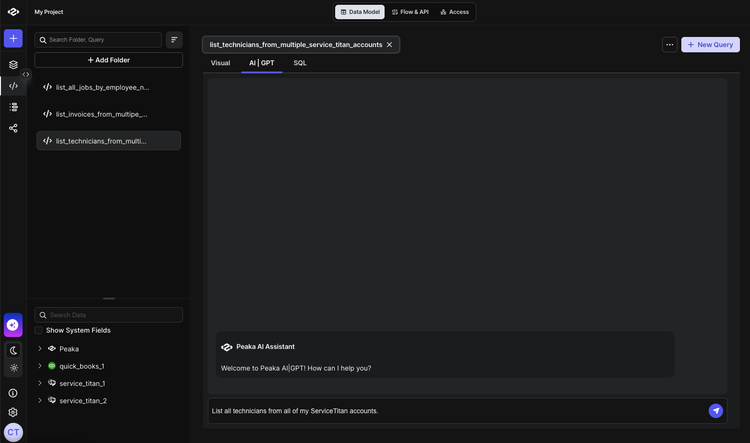 Entering prompt to Peaka AI chatbot