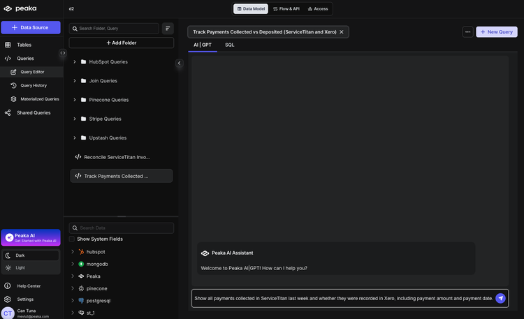 Entering payments comparison prompt in Peaka AI chatbot