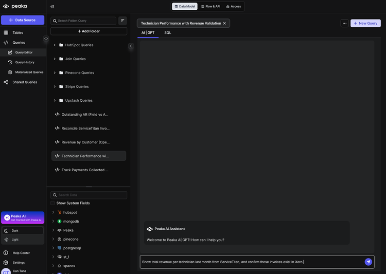 Entering technician performance and revenue validation prompt in Peaka AI chatbot